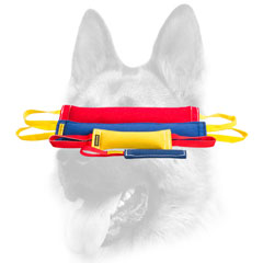 Equipped with nylon handles