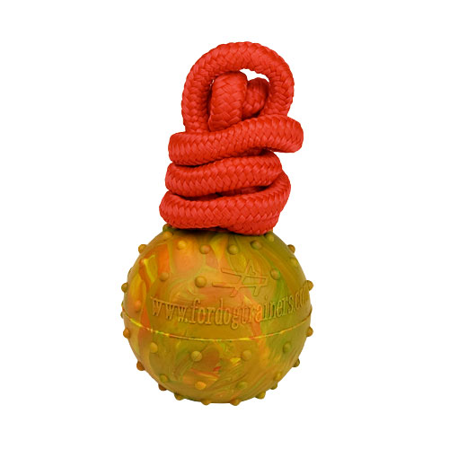 Rubber ball on the string with dotted surface