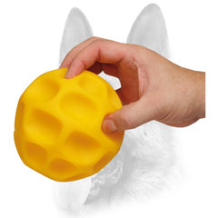 Has an inner compartment which stores treats or food