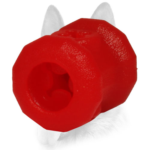Bright innovative design of dog toy