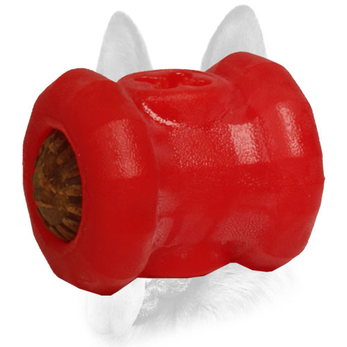 Bright innovative design of dog equipment
