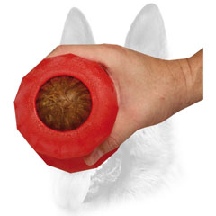 Can hold various treats or kibble