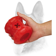 Can hold various treats or kibble