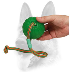 Attractive design for the dog training gear
