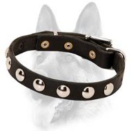 Smart Leather Dog Collar with Round Studs for Schutzhund Training